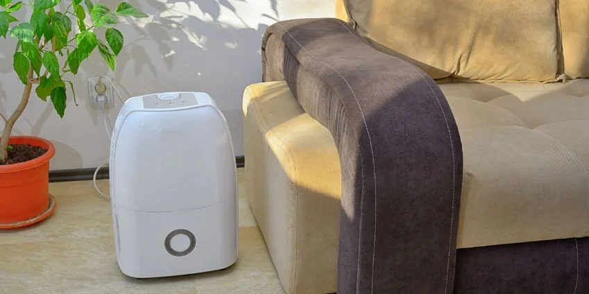 Image of Consider a Dehumidifier This Summer!