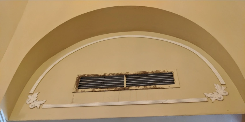 Image: What Happens When Mold Gets Into Your HVAC Unit?
