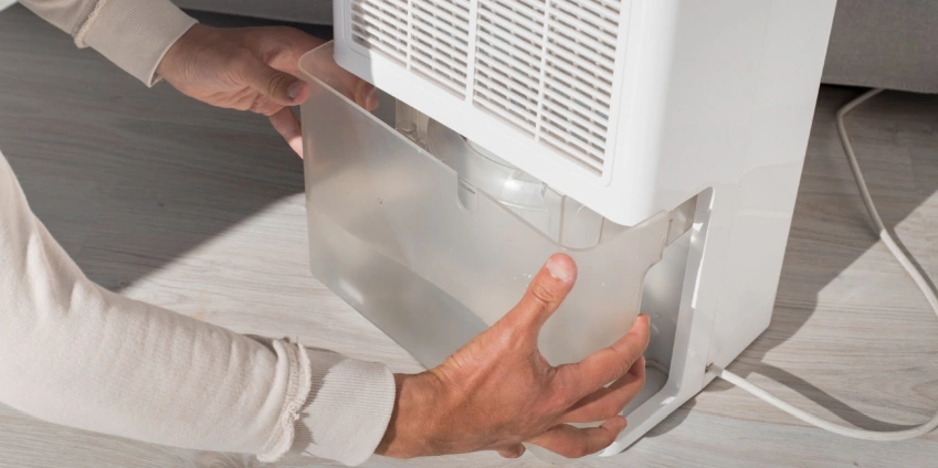 Image: How Do You Decide Between Humidifiers and Dehumidifiers?