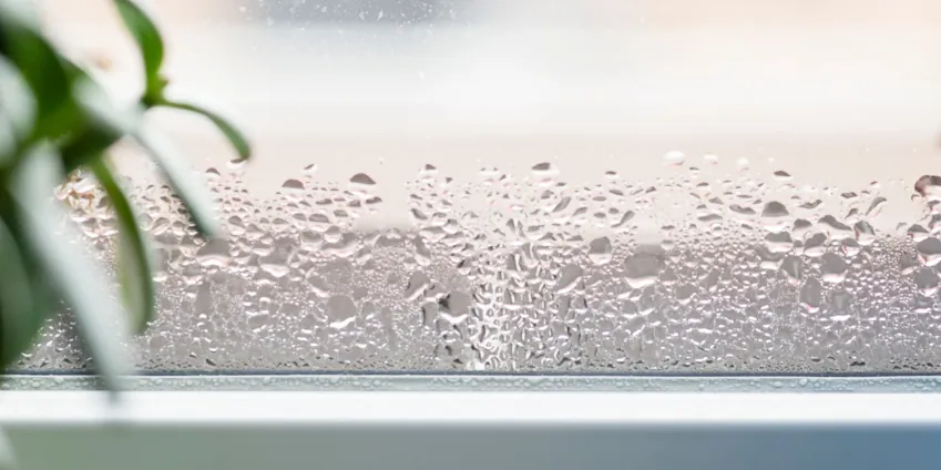 Image: Learn What Humidity Level Is Normal in a Home