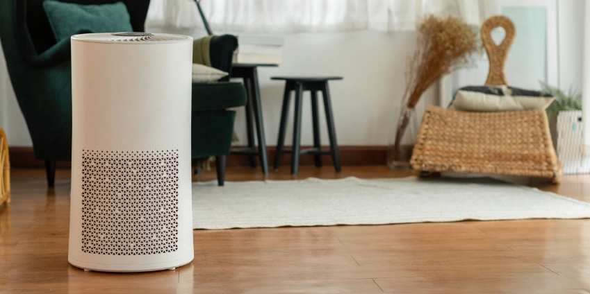 Image: Should You Have an Air Purifier During the Winter?