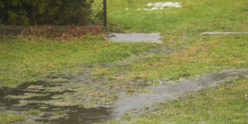 Image: How to Detect a Water Leak in Your Yard