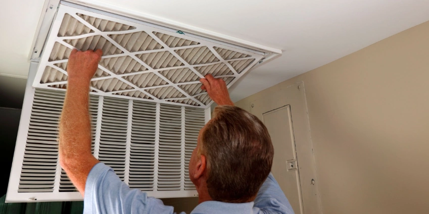 Image: Ways You Can Clean the Air in Your Home