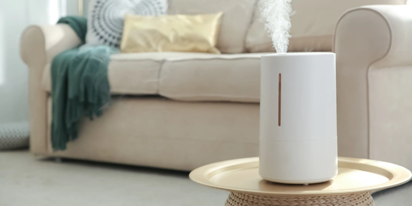 Image: Why You Might Need a Humidifier or Dehumidifier in Your Home