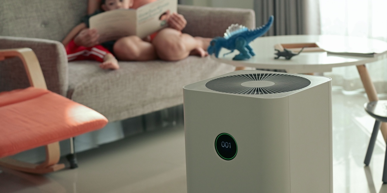 Image: Back to School, Back to Germs: The Importance of Air Purifiers