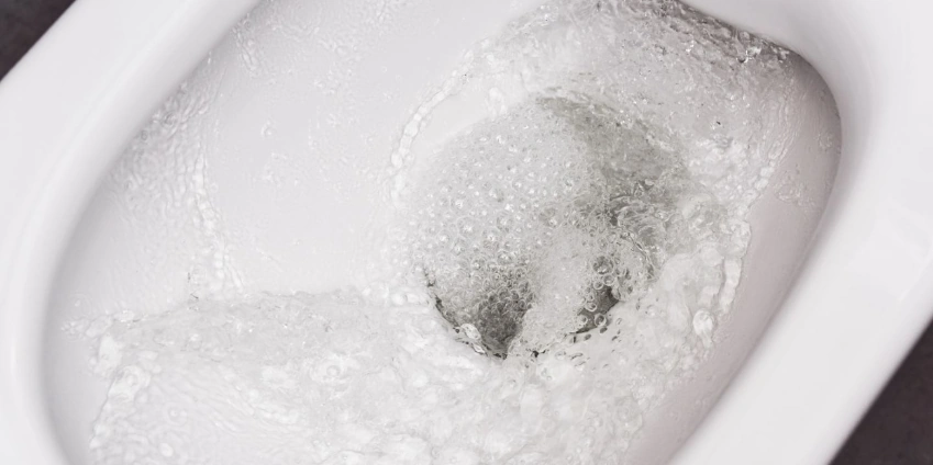 Image: Understanding What Causes Noise from Pipes When a Toilet Flushes and How to Fix It