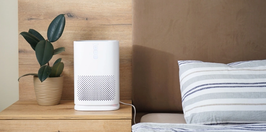 Image: 9 Reasons Why Everyone Needs an Air Purifier