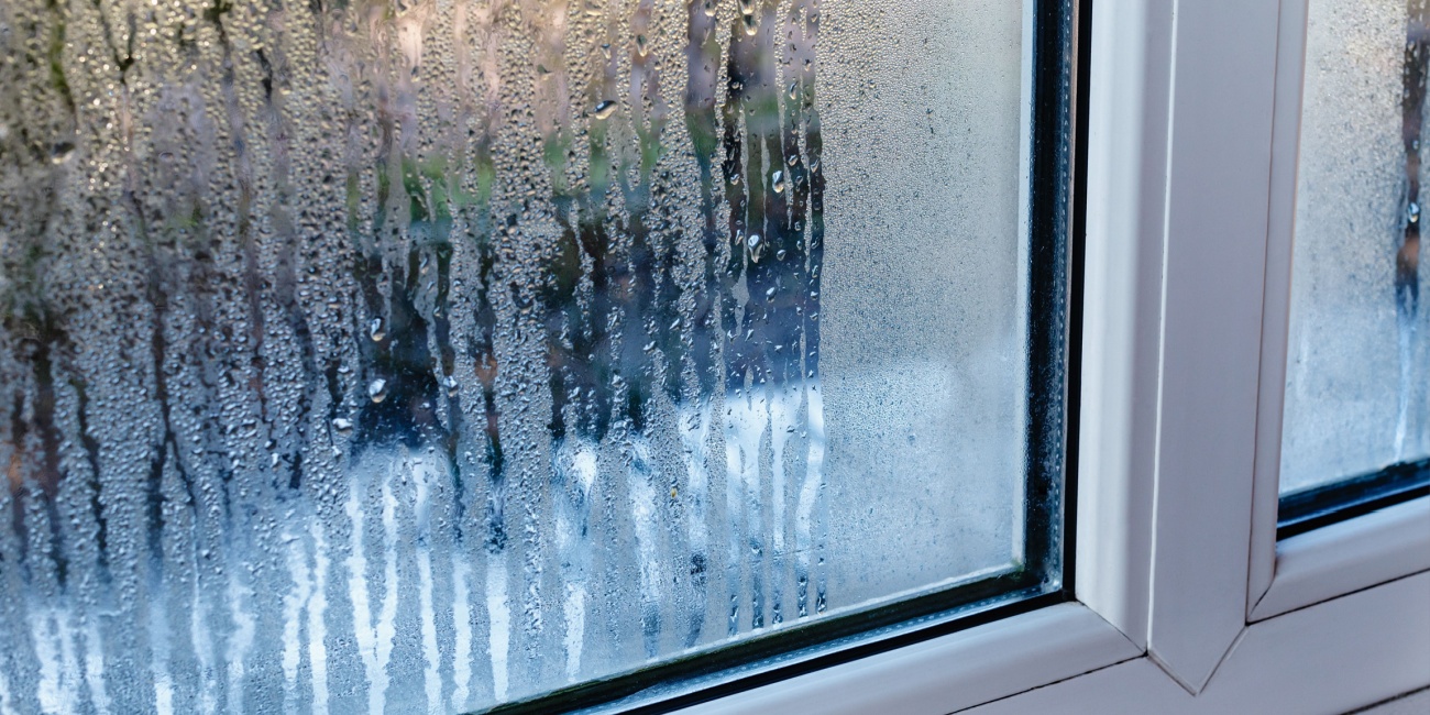 Image: Why Is it Important to Control Humidity in Your Home?