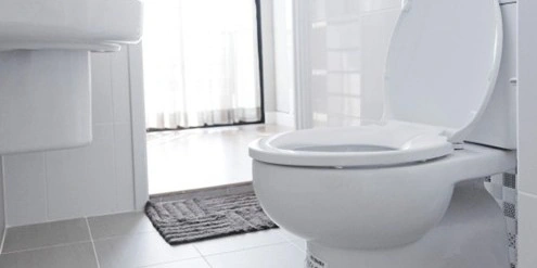 Image: Toilet Won’t Flush? What To Do If Your Toilet Breaks During the Holidays