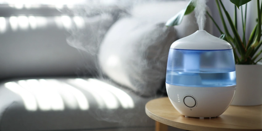Image: Humidifiers vs. Dehumidifiers: Does My Home Need One?