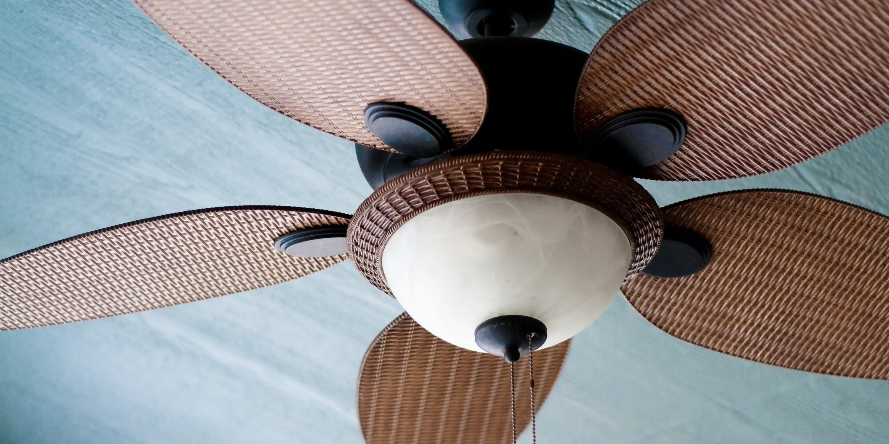 Image of Which Direction Should Your Ceiling Fan Spin?
