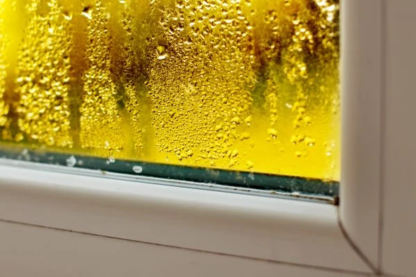 Humidity build up in home Humidity build up in home