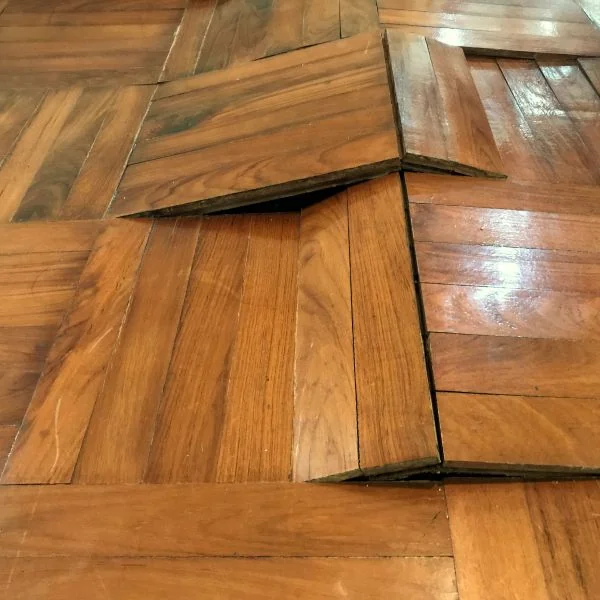 Too much humidity affects wood flooring in home Too much humidity affects wood flooring in home