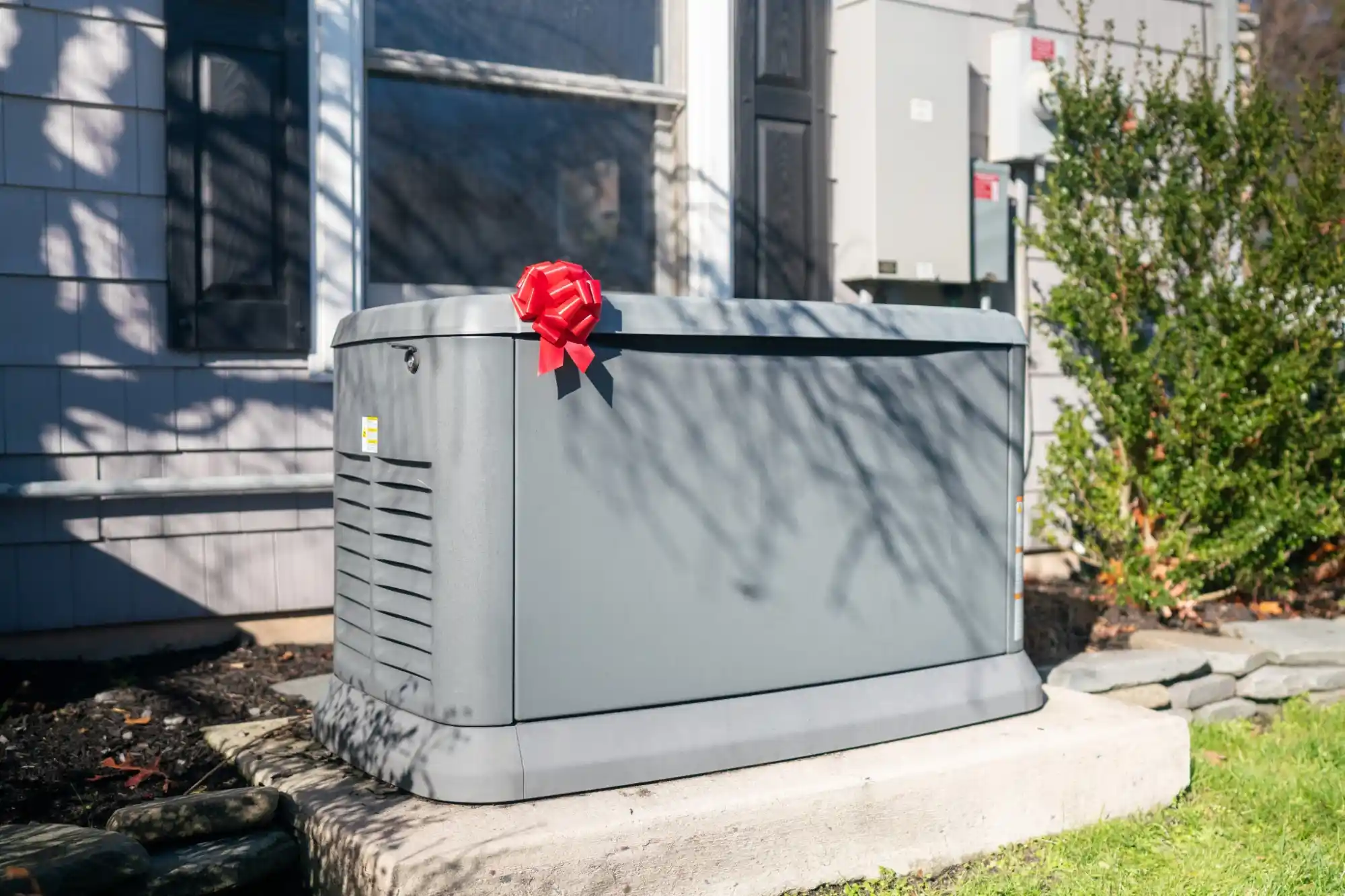 Whole home back up generator
