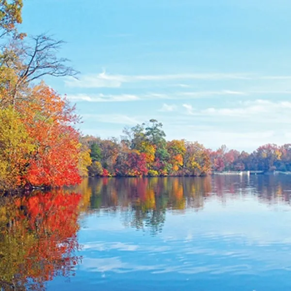 Parvin State Park in Pittsgrove, NJ Parvin State Park in Pittsgrove, NJ