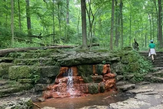 Yellow Springs, OH Yellow Springs, OH