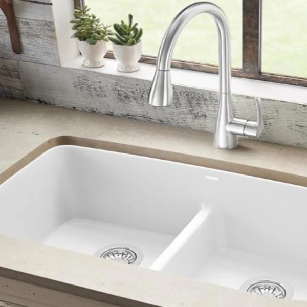 Double basin kitchen sink with silver faucet