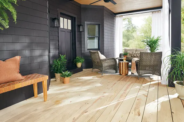 Professional Exterior Painting Services Professional Exterior Painting Services