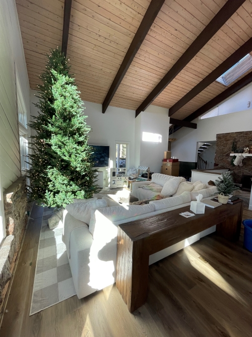 Interior Painting in Bainbridge, WA